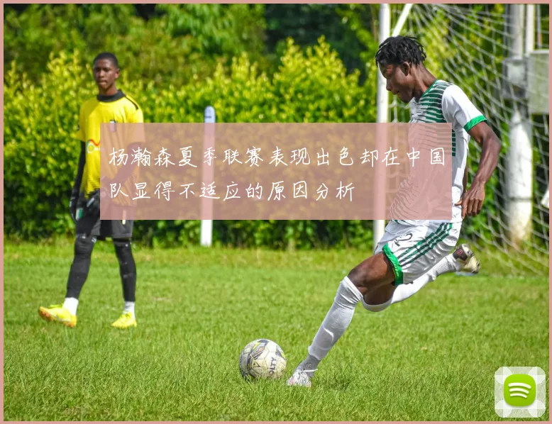 杨瀚森夏季联赛表现出色却在中国队显得不适应的原因分析